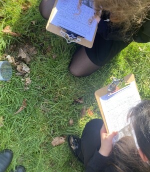 Article Thumbnail Image